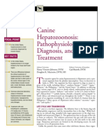 CANINE-Canine Hepatozoonosis-Pathophysiology, Diagnosis and Treatment