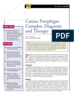 CANINE-Canine Pemphigus Complex-Diagnosis and Therapy