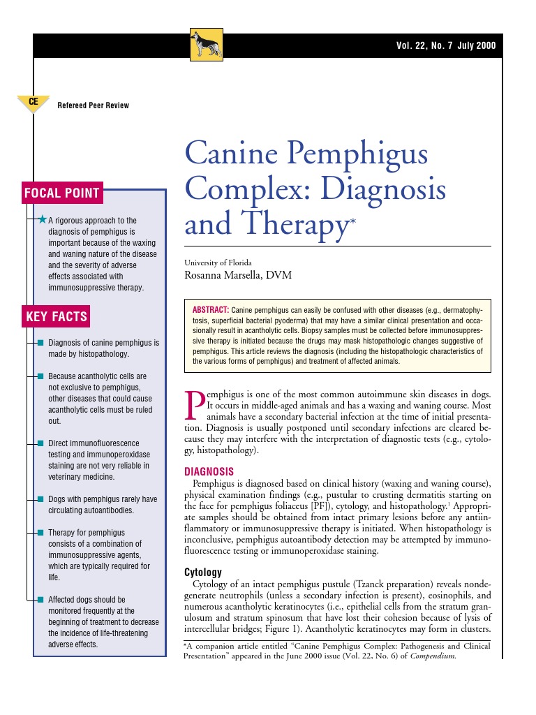 Canine Pemphigus Treatment And Nutrition Guidance