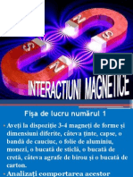 Interactiuni Magnetice