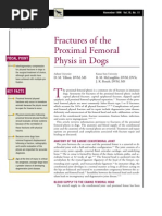 Download CANINE-Fractures of the Proximal Femoral Physis in Dogs by taner_soysuren SN23748070 doc pdf