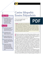 CANINE-Idıopathic Erosive Polyarthritis