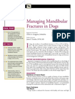 CANINE-MAnaging Mandibular Fractures in Dogs