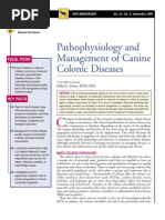 Download CANINE-Pathophysiology and Management of Canine Colonic Diseases by taner_soysuren SN23748166 doc pdf
