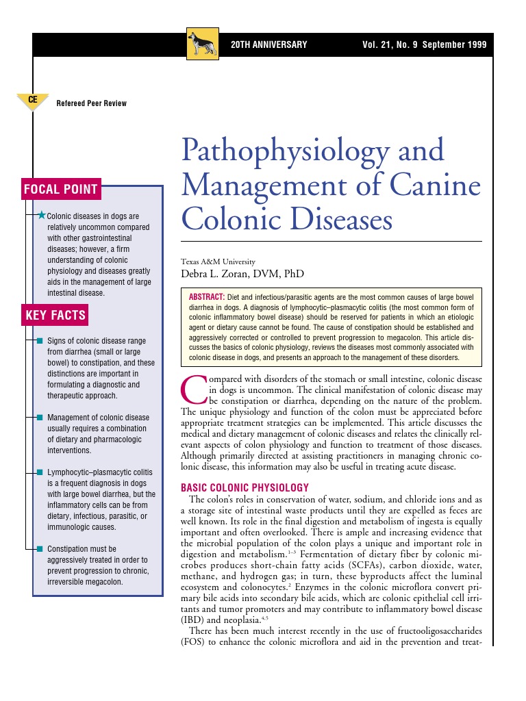 CANINE-Pathophysiology and Management of Canine Colonic Diseases | PDF ...