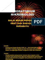 Profil Lab - Mikro