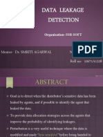 Data Leakage Detection