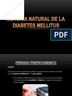 historianaturaldeladiabetes-121116015315-phpapp02