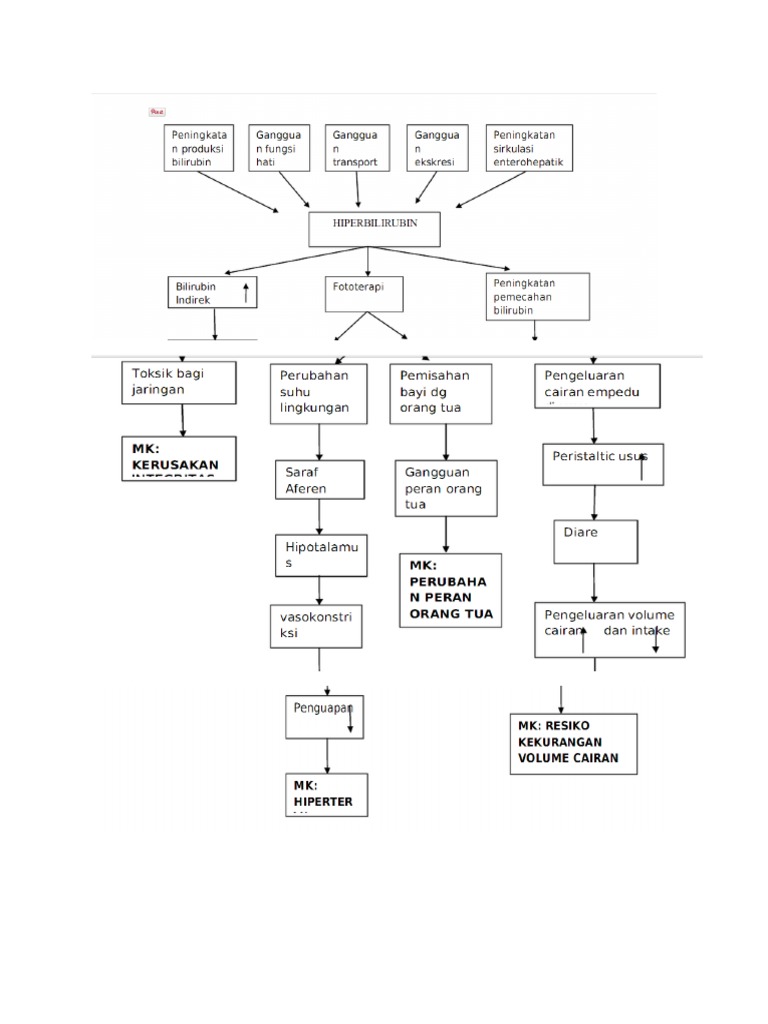 Pathways Hiperbilirubin