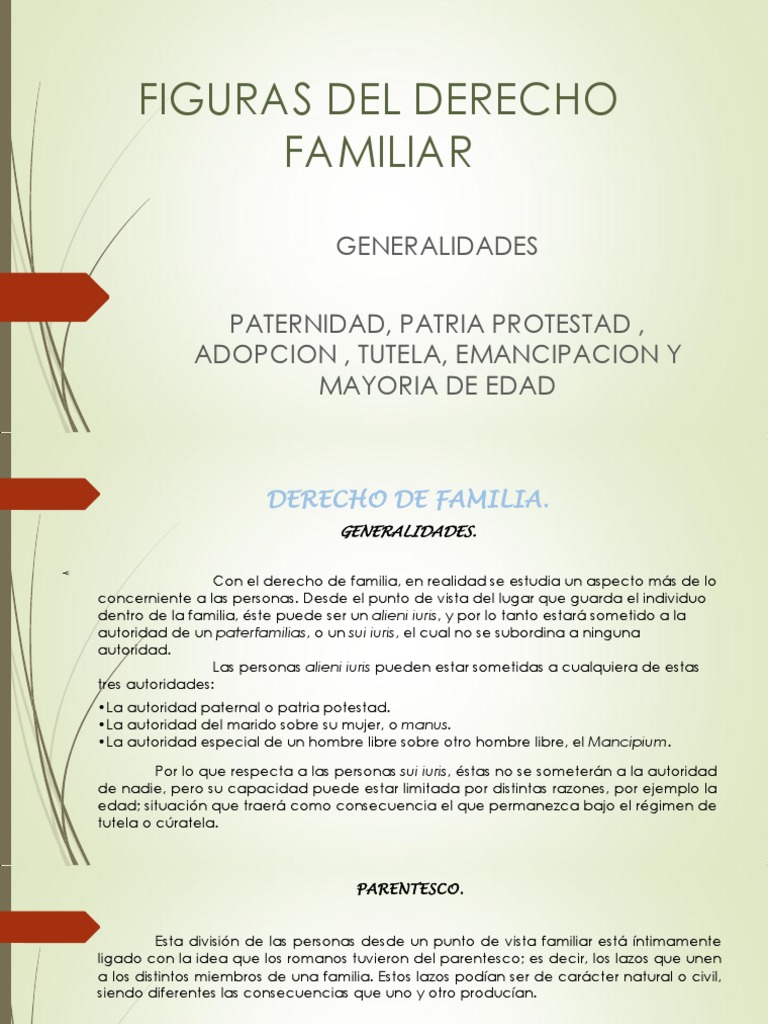 Figuras Del Derecho Familiar Parentesco Familia