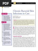 Download FELINE- Chronic Bacterial Skin Infections in Cats by taner_soysuren SN23751490 doc pdf