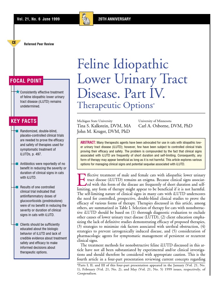 Thumbnail for Feline Lower Urinary Tract Disease Prognosis