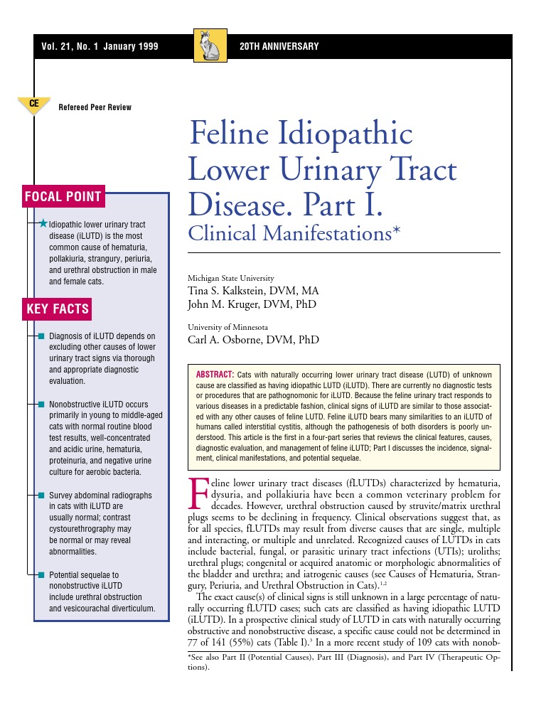 Curated visual reference: Cat Urine Test For Cats With Bladder Infection Reference: Feline Idiopathic Lutd Overview Pdf Urinary Tract Infection