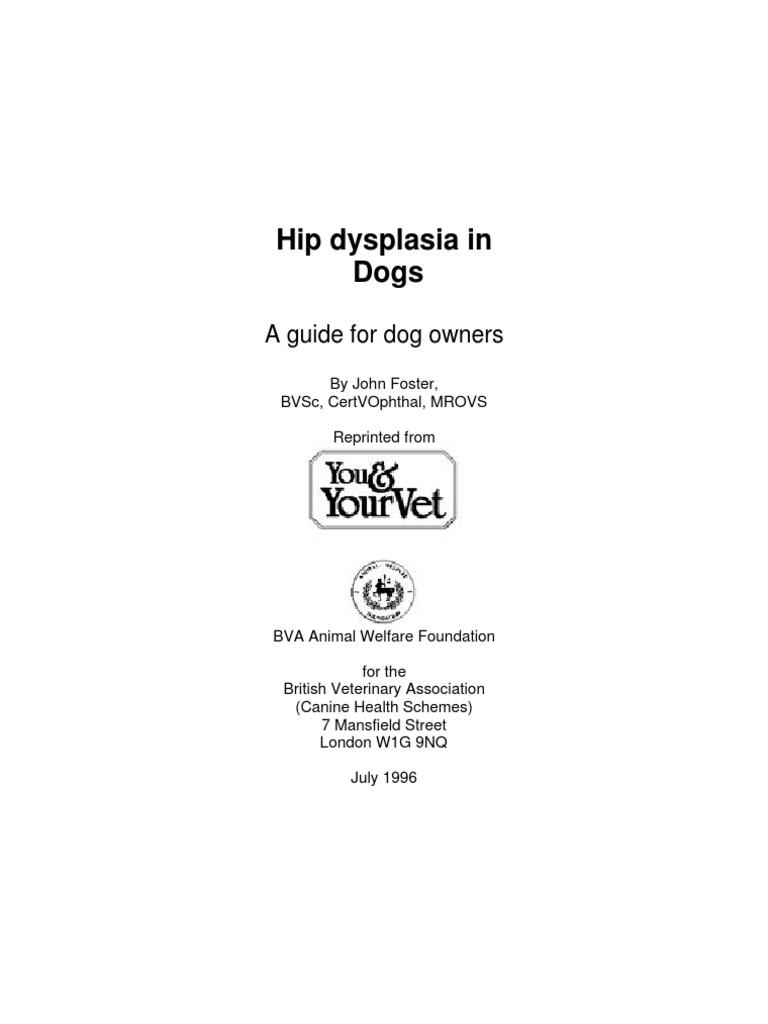 Hip Dysplasia in Dogs A Guide For Dog Owners PDF Radiography Hip