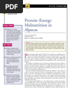 Download LAMA-Protein-Energy Malnutrition in Alpacas by taner_soysuren SN23752065 doc pdf