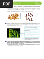 42 02 12 Reino Das Plantas II