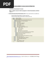 SAP SD :batchmanagement Configaration With Screen Shots