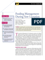 SOW-Feeding Management During Sow Lactation