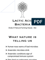 Lactic Acid Bacteria