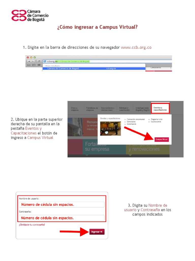 Ingreso al Campus Virtual UCC | PDF