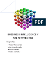 Bussiness Intelligence y SQL Server 2008