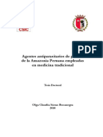Claudia Olga Saenz Bocanegra Tesis Doctoral PDF