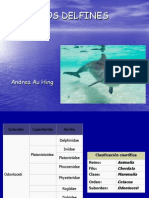 DELFIN.ppt