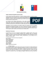 pepeeltorito.pdf