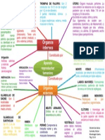 Mapa Conceptual-Anatomia Aparato Reproductor Femenino