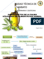Palmiste PDF