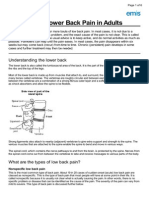 Nonspecific Lower Back Pain in Adults