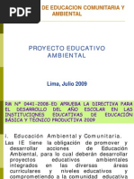 Proyecto Educativo Ambiental N PDF