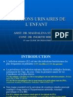 Cours 3 Infection Urinaire