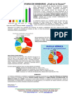 CRISIS ALIMENTARIA EN HONDURAS ¿Cuál Es La Causa?