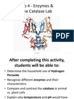 Lab 4 - Enzymes and the Catalase Lab Fall 2014