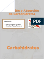 212936762-Digestion-y-Absorcion-de-Carbohidratos-E.pptx