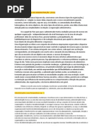 TEORIA GERAL DA ADMINISTRAÇÃO1.docx