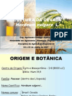 Cultura da cevada: origem, botânica, produção e usos