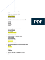 Soalan Anatomy Cardio and Respi