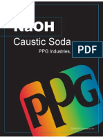 Caustic Soda Manual 2008