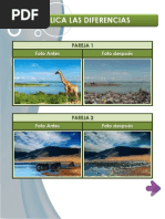 Diferencias Patrizia Avilés Parreño