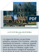 Oliveira