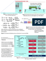 TDM y FDM