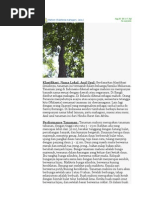 Download Mahoni by novarisakotta SN23769869 doc pdf