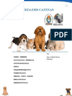 PDF para Caninos