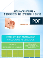 Aspectos Anatómicos y Fisiológicos Del Lenguaje - II Parte