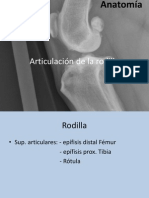 Articulación de La Rodilla 2014