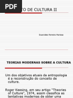 Conceito de Cultura II
