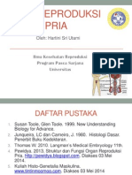 Alat Reproduksi Pria