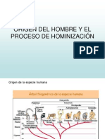 Origen de l'Home i Hominització